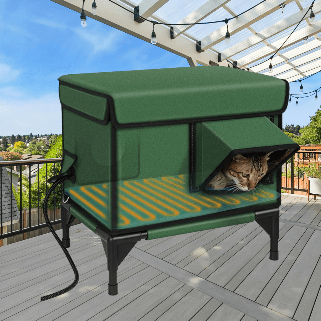 KatzenKoje - Rückzugsort für Abenteurer auf vier Pfoten!